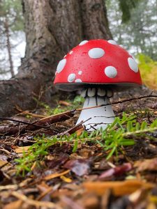 Artwork by Suzanne Scott