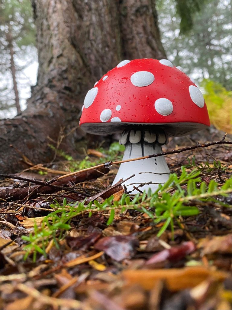 Artwork by Suzanne Scott