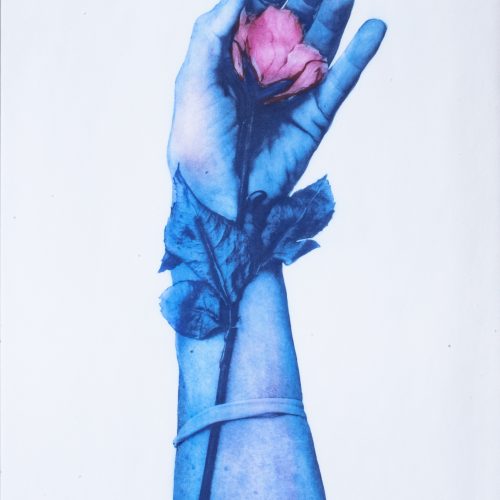 Linda Rosalia Kosciewicz