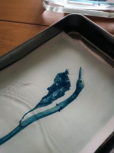 Artwork by Lyndsey Davidson