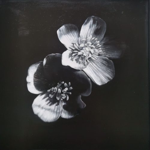 Ines-Hermione Mulford