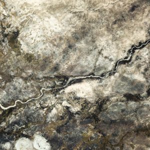 Aerial photo by Richard Cross