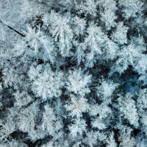 Aerial photo by Richard Cross