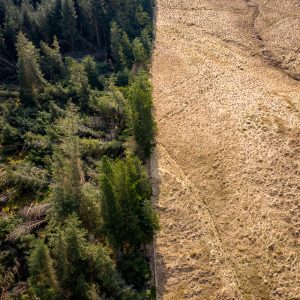 Aerial photo by Richard Cross