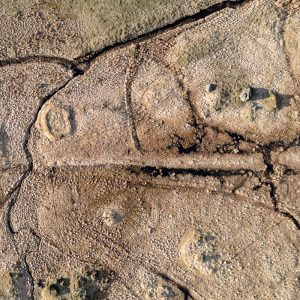 Aerial photo by Richard Cross