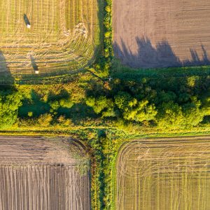 Aerial photo by Richard Cross