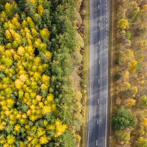 Aerial photo by Richard Cross