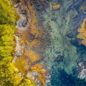 Aerial photo by Richard Cross