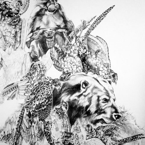 Ashley Nieuwenhuizen