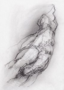 Tansy Lee Moir - Transformation study 1