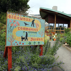 REALITIES at Ninewells Community Garden