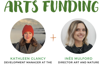 “Understanding Arts Funding” – first of our professional practice webinar series