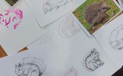 Squirrels and Hedgehogs with Dundee Rangers at the Botanic Gardens