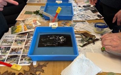 REALITIES at Ninewells Community Garden