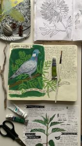 Wood pigeon and sketchbooks by Jenny Blair