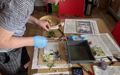 Ninewells Community Garden