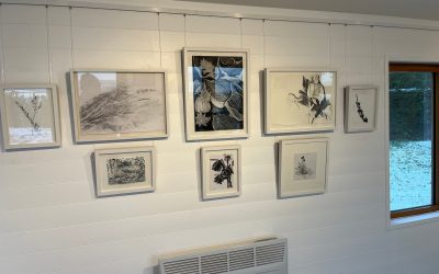Cura – a solo exhibition by Alison Philp at Green Gallery, Dundee University Botanic Gardens