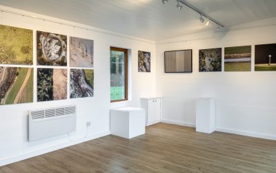 What Lies Beneath at the Green Gallery